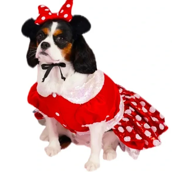 DISNEY Minnie Mouse Premium Pet Halloween Costume Set Size M - Picture 2 of 14